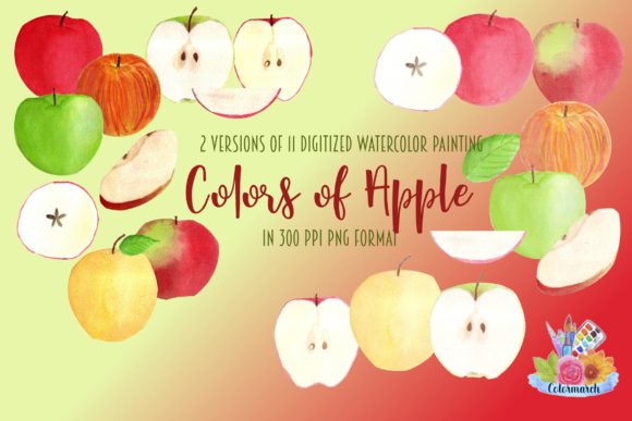 Colors of Apple Watercolor Clipart and Illustrations