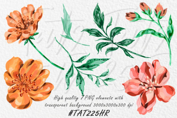 Flower Matriels Clipart, Watercolor Illustrations