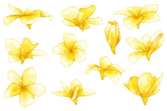 Flower Watercolor Arrangement: Editorial Illustrations