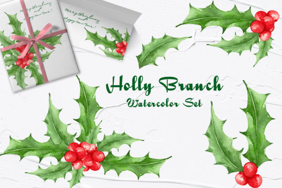 Holly Watercolor Clipart & Illustrations