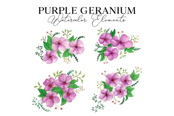 Purple Geranium Watercolor Illustration