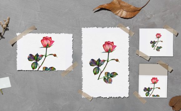 Rose Watercolor Wall Art