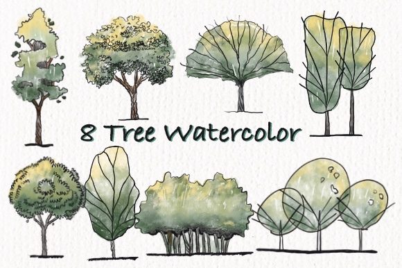 Tree Watercolor Architecture Illustrations