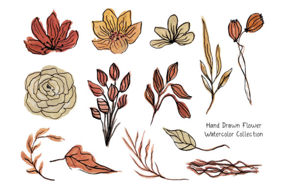 Vintage Flower Watercolor Illustrations for Crafters