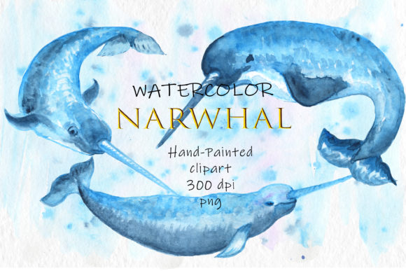 Watercolor Clipart Animals Narwhal Cute Illustrations