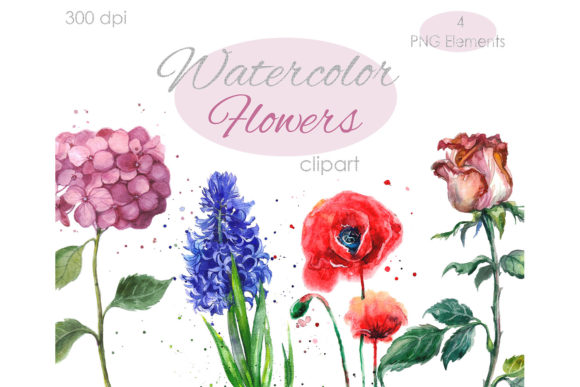 Watercolor Clipart. Flowers Hand Painted