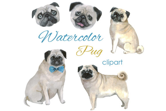 Watercolor Clipart. Pug Dog Png Art