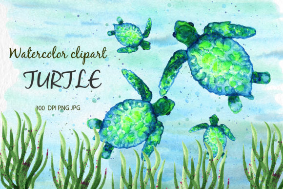 Watercolor Clipart Turtle Sea Animals Illustrations