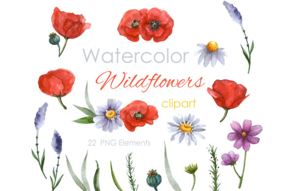 Watercolor Clipart. Wildflowers Meadow Illustrations