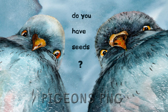 Watercolor Curious Pigeons: Illustrations for Sellers