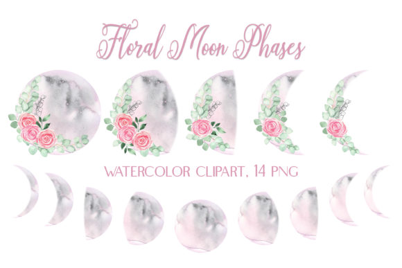 Watercolor Floral Moon Phases Clipart and Illustrations