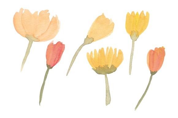 Watercolor Flower Bud Element Paint Set and Illustrations