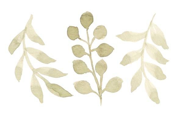 Watercolor Green Leaf Foliage Set Paint Illustrations