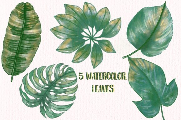 Watercolor Leaves Sublimation Designs and Illustrations