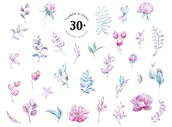 Watercolor Peony Eucalyptus Clipart and Illustrations
