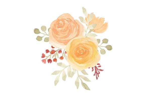 Watercolor Rose Floral Bouquet Paint and Illustrations