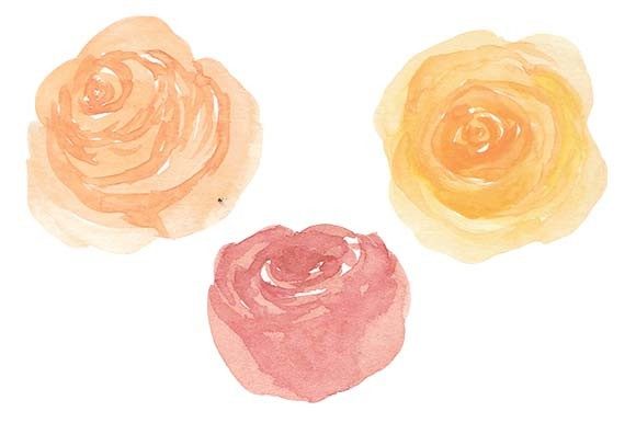 Watercolor Rose Flower Paint Set Art Illustrations