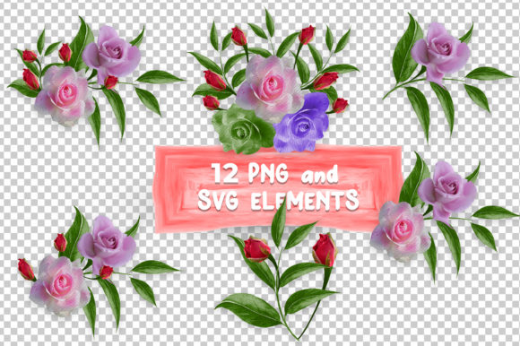 Watercolor Rose Flowers Clipart and Illustrations