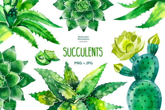 Watercolor Succulents Set and Illustrations