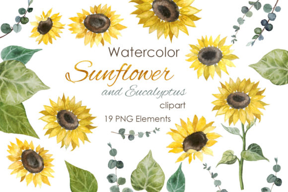 Watercolor Sunflower Clipart for Illustrations