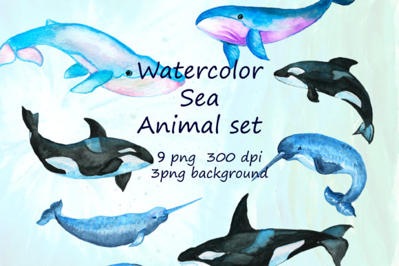 Watercolor Whales Sea Animals Fish Art Illustrations