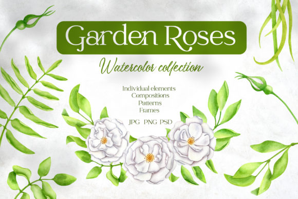 Watercolor White Flowers Clipart Set