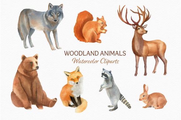 Woodland Animals Clipart Watercolor Bear and Illustrations